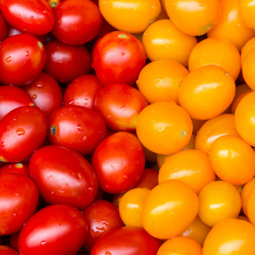 Tomates cerises rouges et jaunes